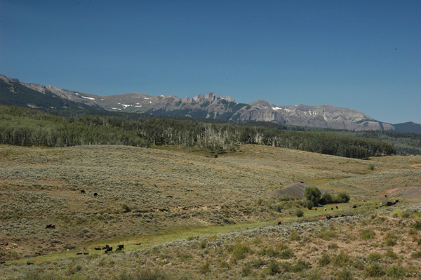 Carbon Peak Ranch in Colorado