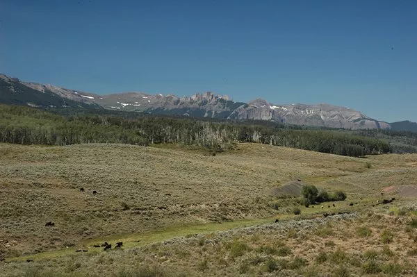Carbon Peak Ranch in Colorado