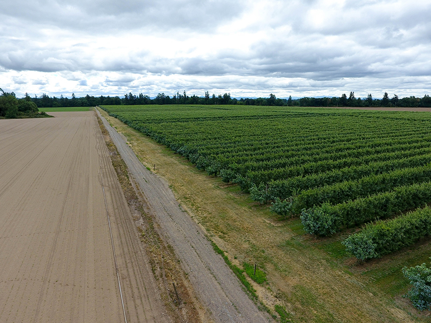Polvi Farms, Salem Oregon, Yamhill county