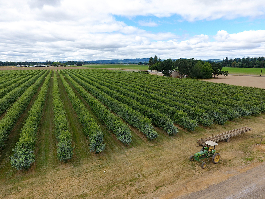 Polvi Farms, Salem Oregon, Yamhill county