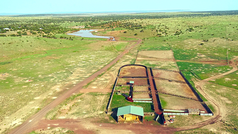 Guest Ranches For Sale | Mason Morse Ranch Company