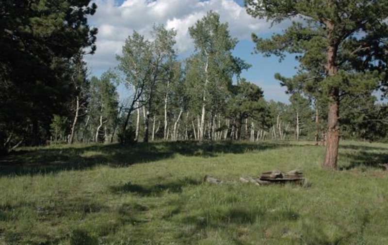 Parcel C N. Ute Pass Ranch