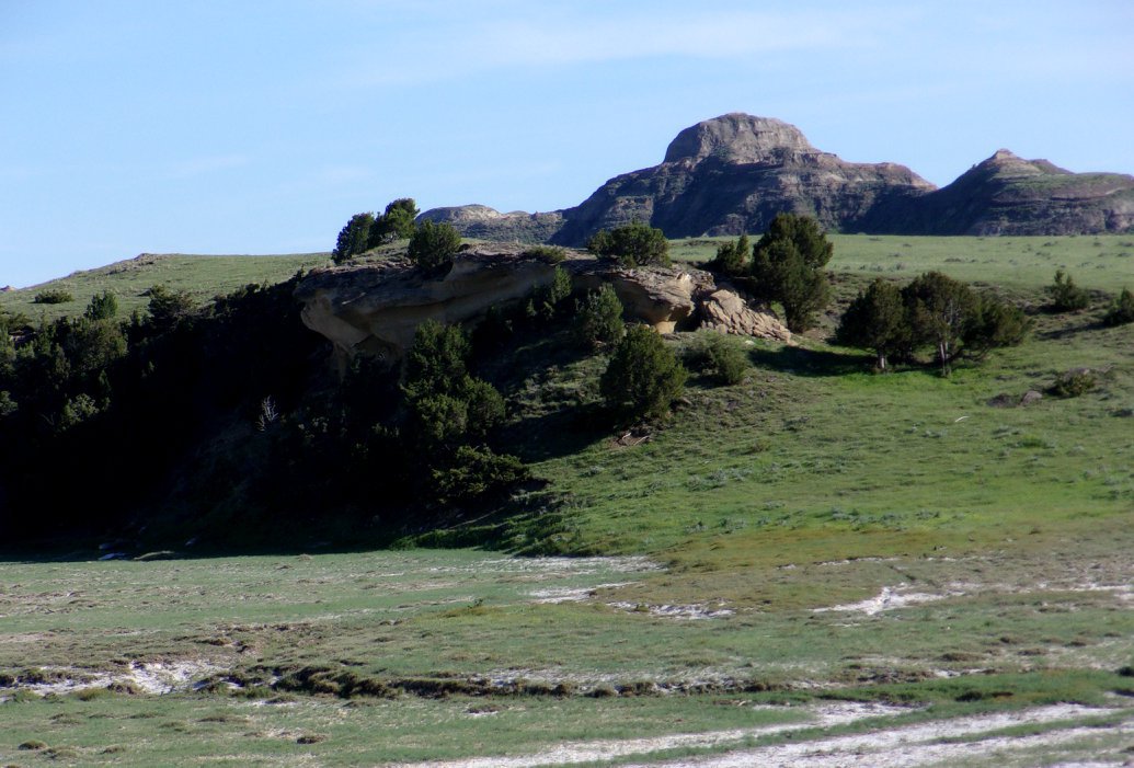Montana Ellis Ranch Ismay, MT Carter Custer County