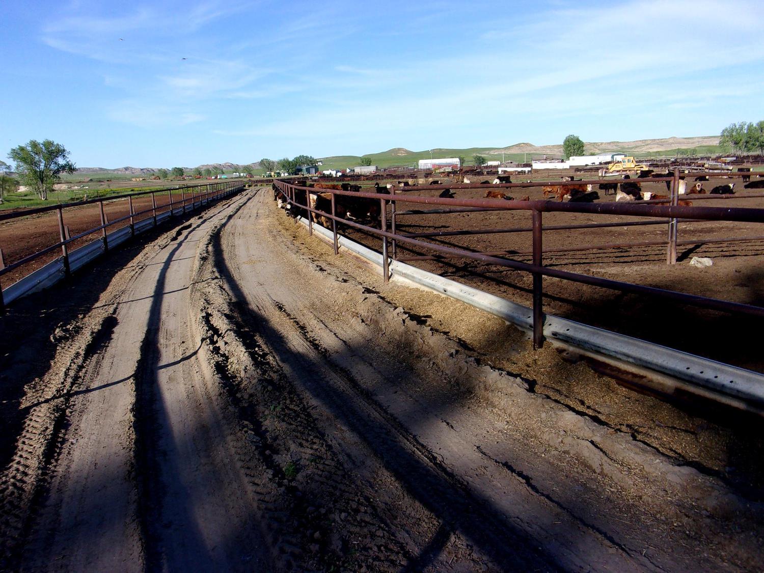 Montana Ellis Ranch Ismay, MT Carter Custer County