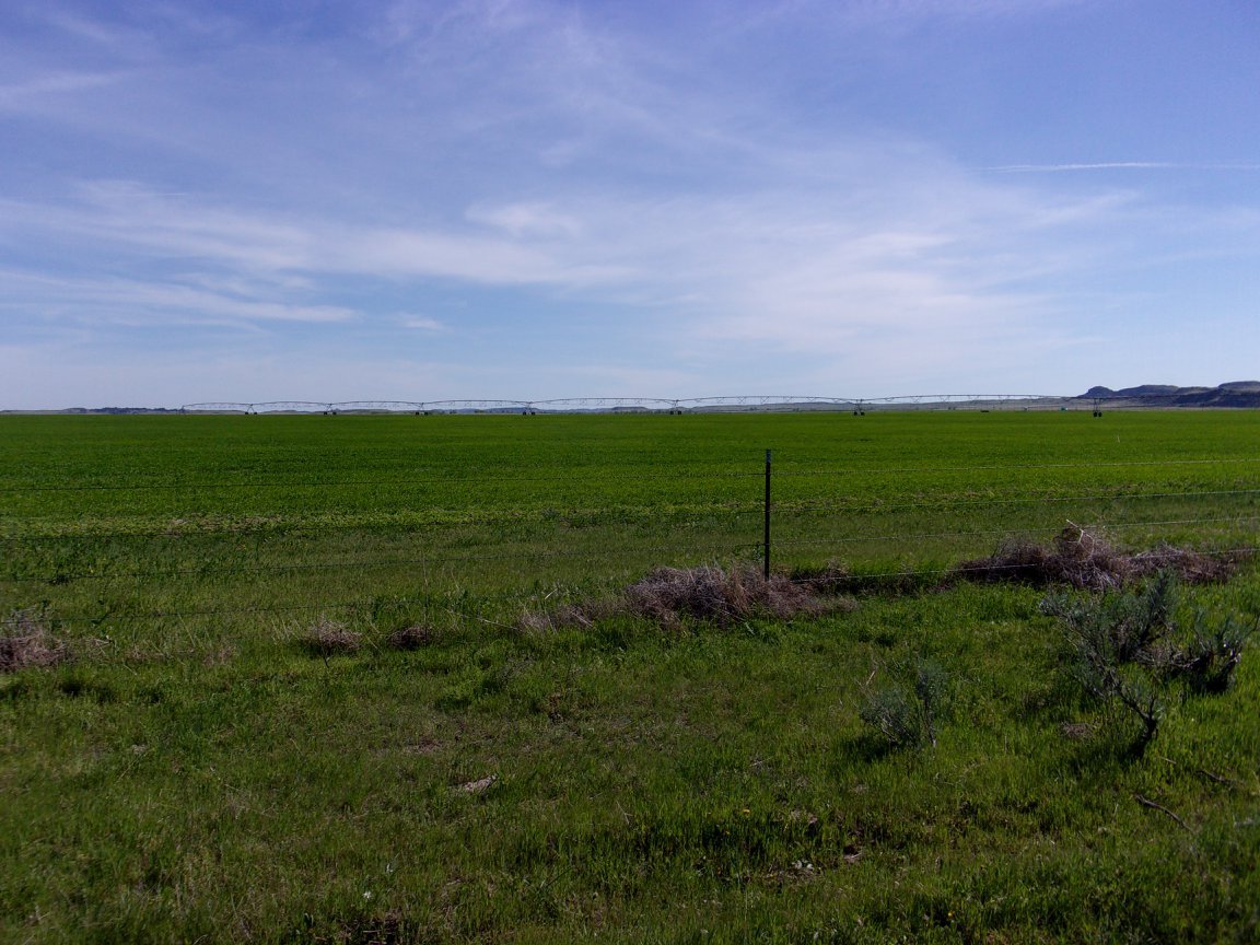 Montana Ellis Ranch Ismay, MT Carter Custer County
