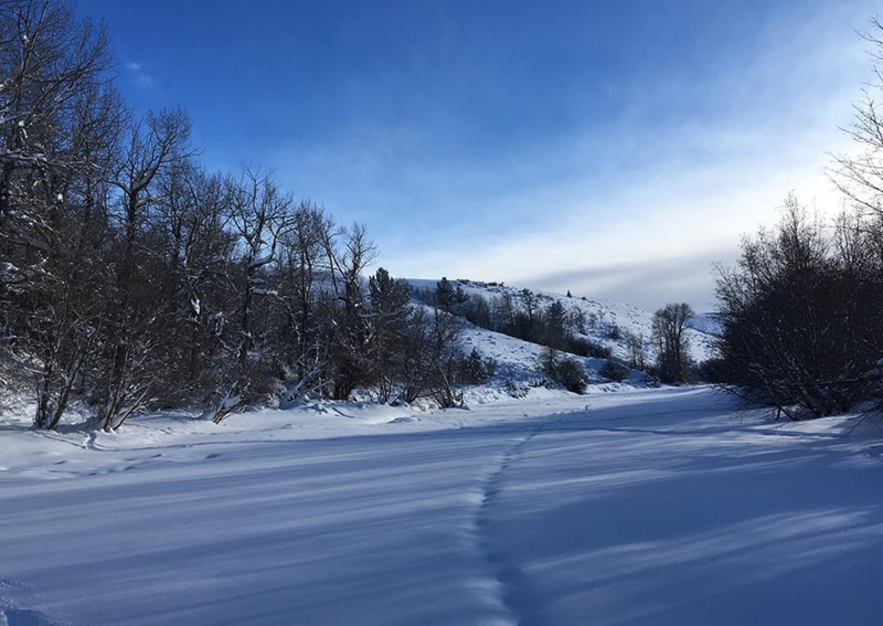 Woods Landing Resort, Jelm Wyoming, Albany County