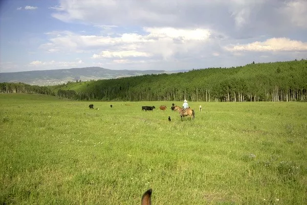 Lazy E H Ranch