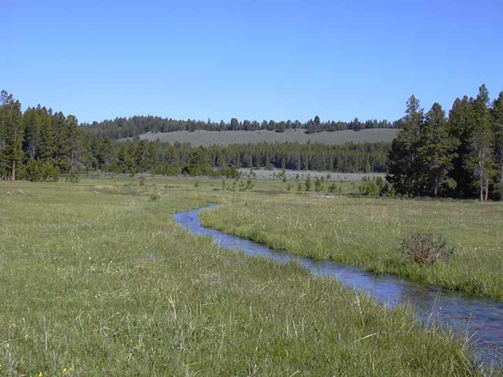 Lazy CA Ranch Jackson Montana, Beaverhead County
