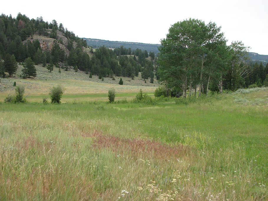 Ghost Creek Ranch Crandall, Wyoming ranch for sale
