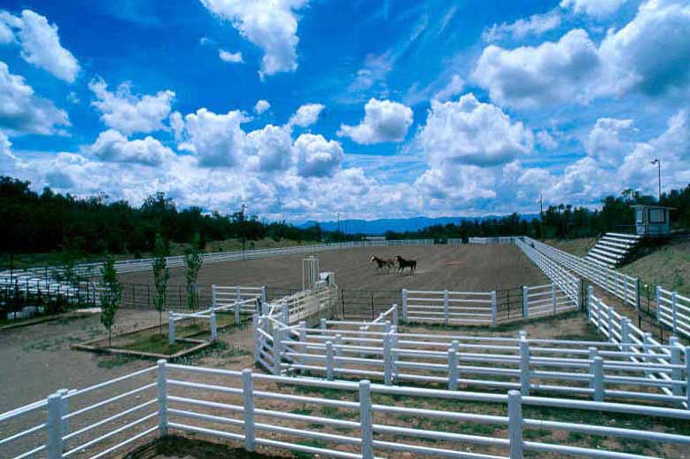 Colbert Ranch SOLD Dolores, Colorado Ranchland