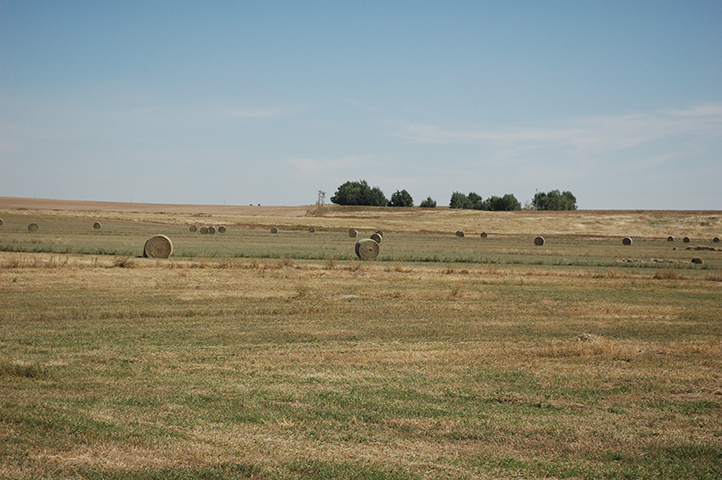 Sunny Valley Ranch