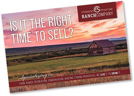 Fall 2021 Ranch Farm Spring Real Estate Newsletter