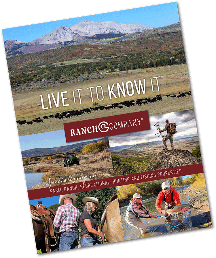 Summer 2025 Ranch Farm Spring Real Estate Newsletter